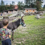 Dolnośląska Wyprawa Ojców z Synami w Jugowicach