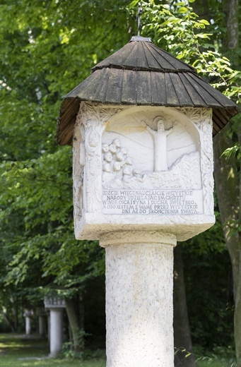 Prorok z Nowej Jerozolimy