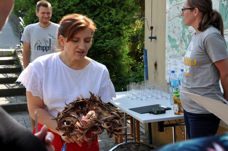 Bukiet na Matki Boskiej Zielnej