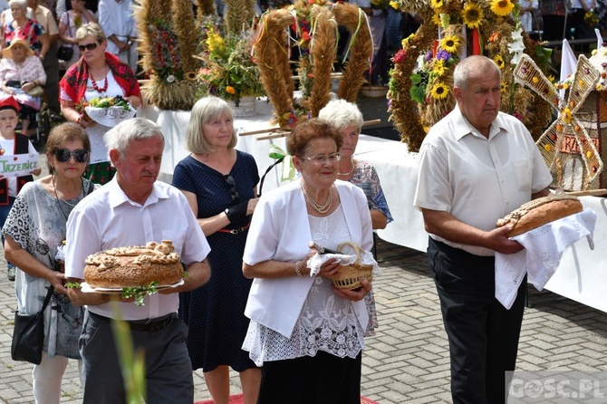 Diecezjalne dożynki w Rokitnie