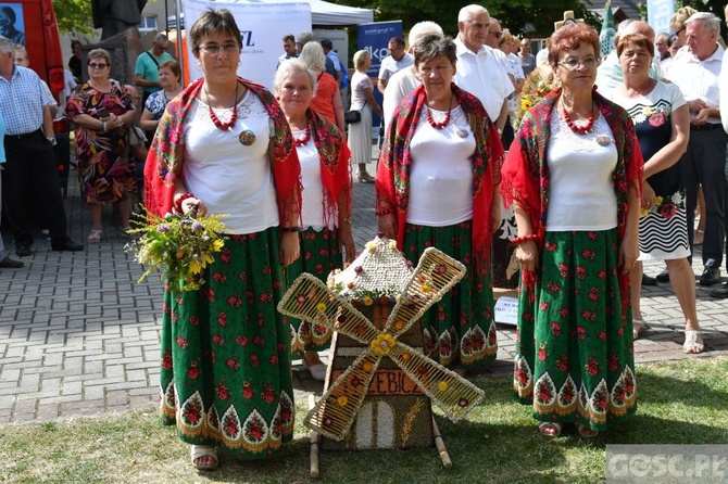 Diecezjalne dożynki w Rokitnie