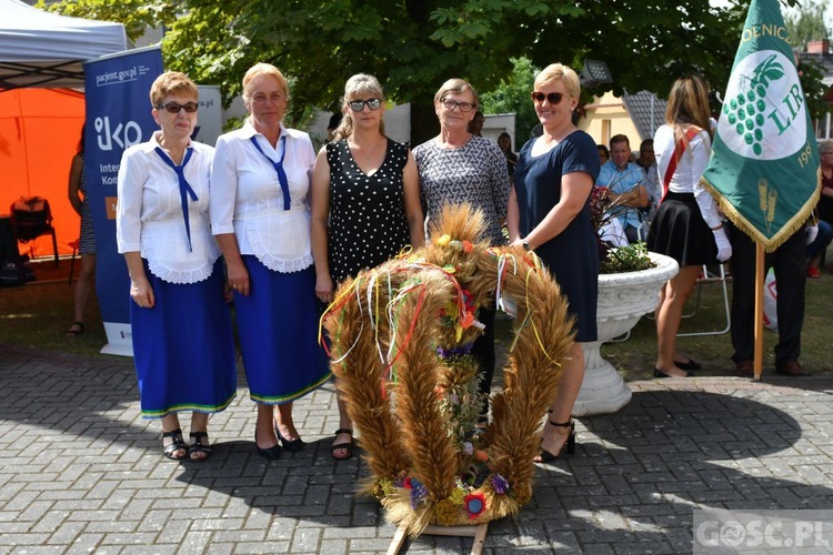 Diecezjalne dożynki w Rokitnie