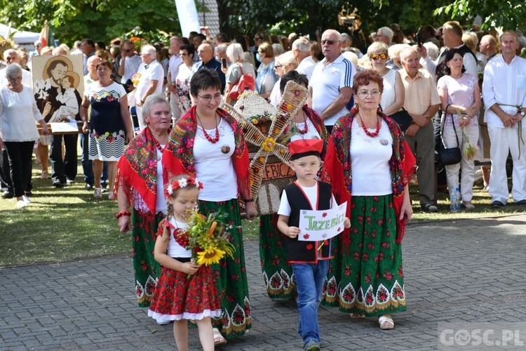 Diecezjalne dożynki w Rokitnie