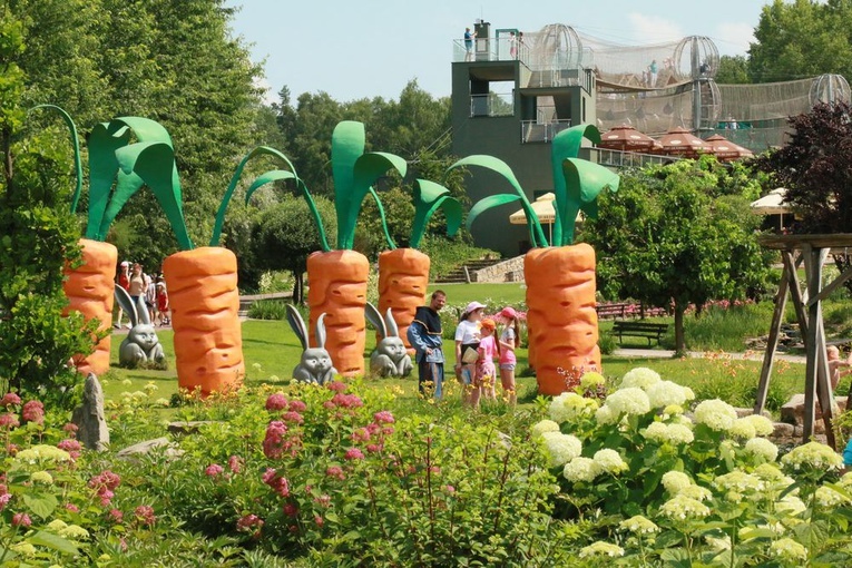 Gigantyczne marchewki z magicznego ogrodu.