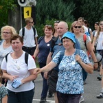 Strumień opolski w Kamieniu Śląskim