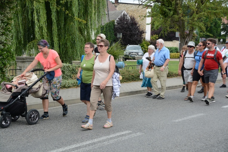 Strumień opolski w Kamieniu Śląskim