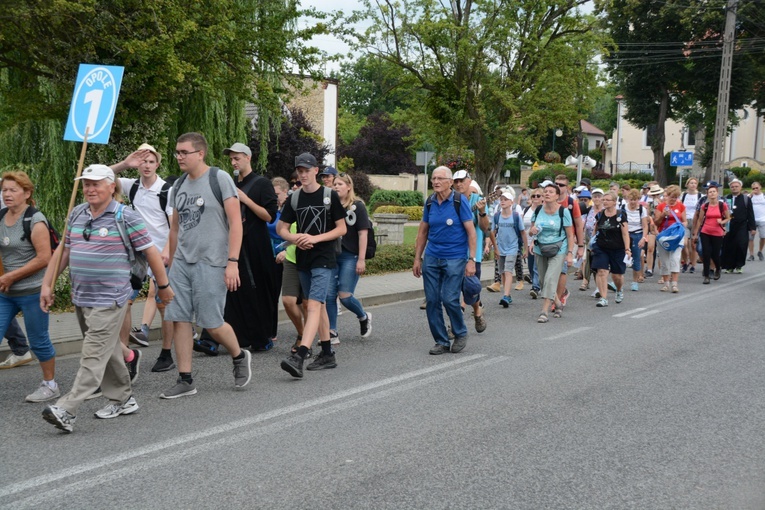 Strumień opolski w Kamieniu Śląskim