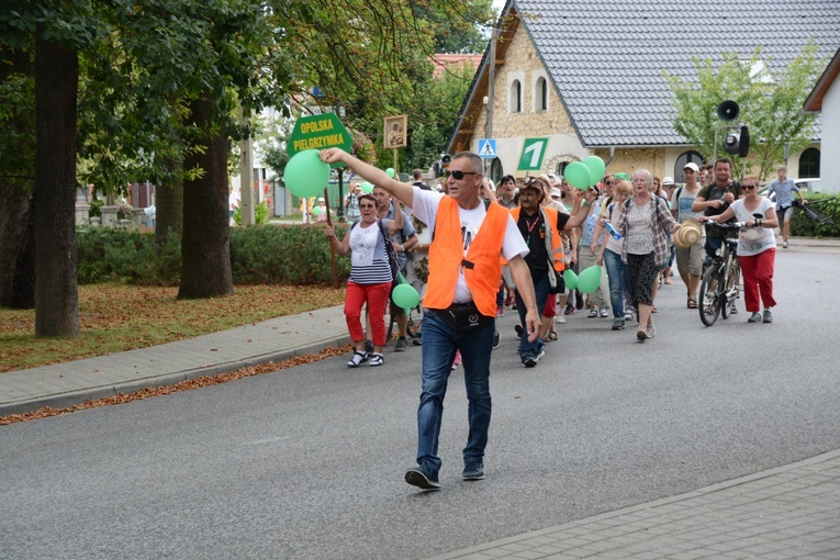 Strumień opolski w Kamieniu Śląskim