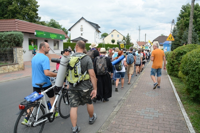 Strumień opolski w Kamieniu Śląskim