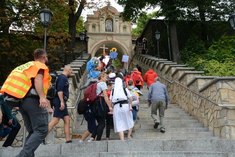 Strumień nyski na Górze św. Anny