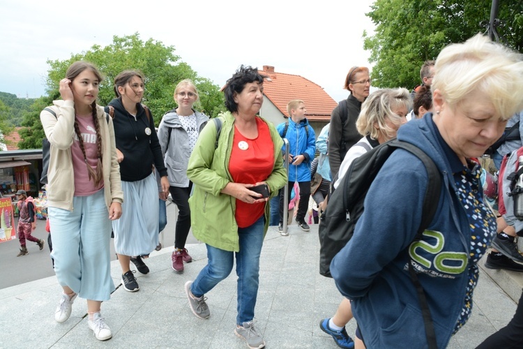 Strumień opolski na Górze św. Anny