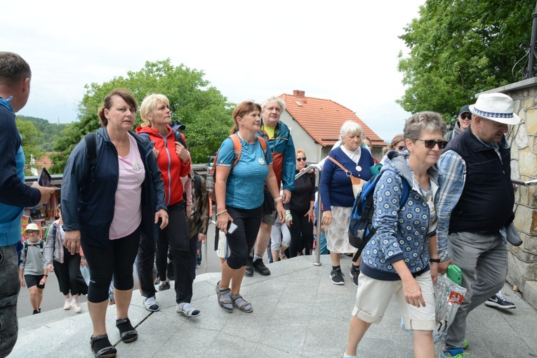 Strumień opolski na Górze św. Anny