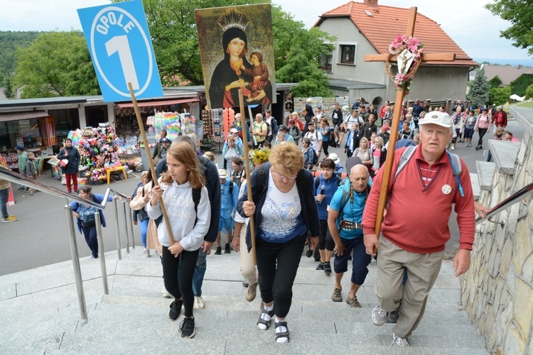 Strumień opolski na Górze św. Anny