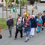 Strumień opolski na Górze św. Anny