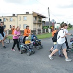 Strumień raciborski w drodze z Ujazdu