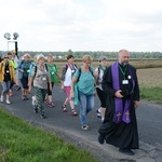 Strumień raciborski w drodze z Ujazdu