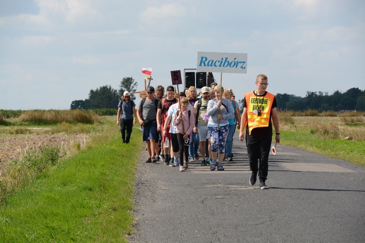 Strumień raciborski w drodze z Ujazdu