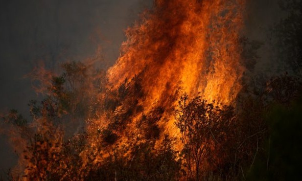 Lazurowe Wybrzeże. Z powodu pożarów ewakuowano tysiące turystów