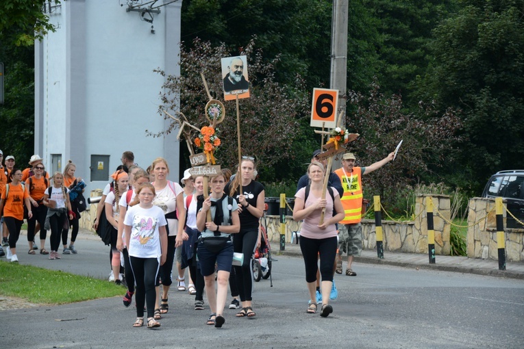 Strumień raciborski w Centawie