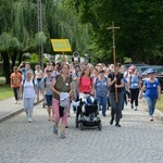 Strumień opolski w Jemielnicy