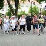 Strumień opolski w Jemielnicy