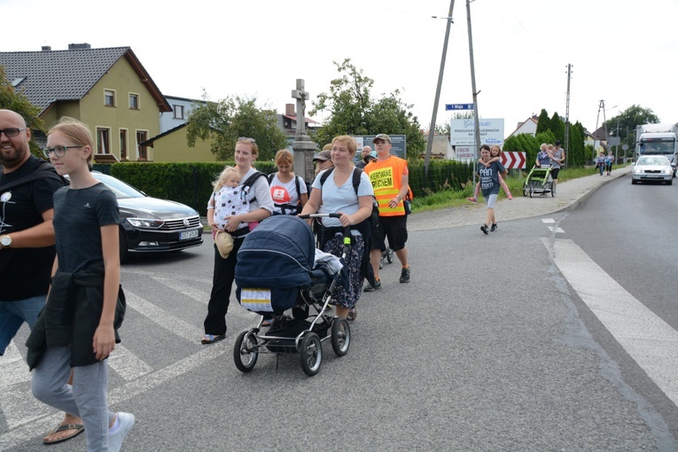 Strumień opolski w Jemielnicy