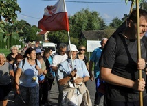 39. PPT - grupa 22