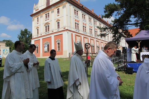 IV Archidiecezjalna Pielgrzymka Czcicieli Maryi - Wspólnot Żywego Różańca w Henrykowie