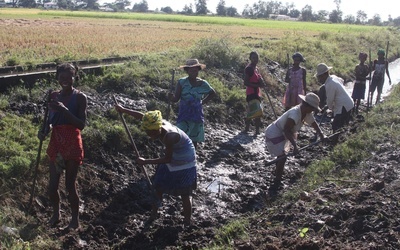 Głód na Madagaskarze: Ludzie jedzą liście kaktusów