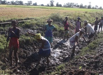 Głód na Madagaskarze: Ludzie jedzą liście kaktusów