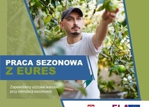 Śląskie. "Sezon na prawa zawsze trwa". W pandemii, EURES z pomocą dla zainteresowanych pracą za granicą