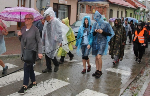 410. Piesza Pielgrzymka Żywiecka na Jasną Górę