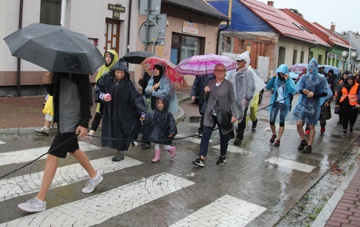 410. Piesza Pielgrzymka Żywiecka na Jasną Górę