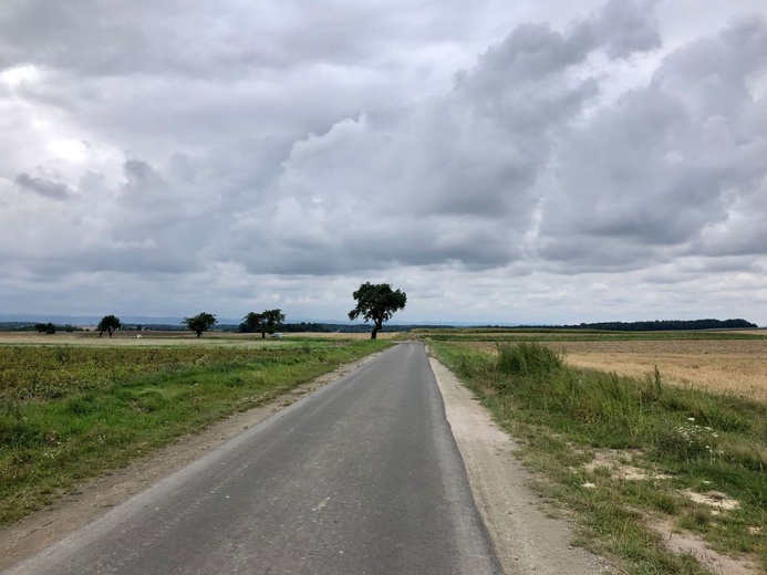 Pielgrzymka rowerowa w intencji trzeźwości