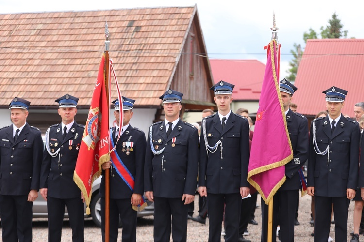 Koronacja obrazu Matki Bożej Budzowskiej