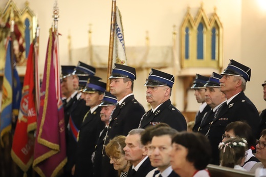 Koronacja obrazu Matki Bożej Budzowskiej