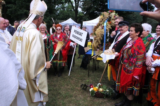 Dożynki w Radomiu