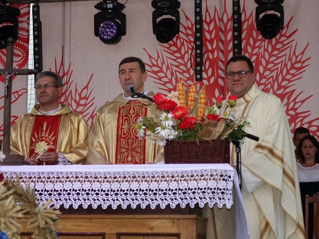 Dożynki, folklor, rycerze, zespoły i uliczni artyści