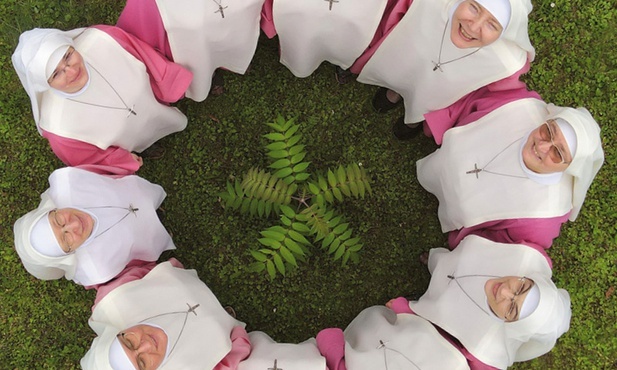 Trzy kolory: różowy