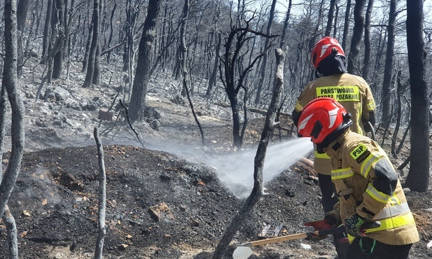 Śląskie. 143 strażaków wróciło z Grecji prosto do Katowic
