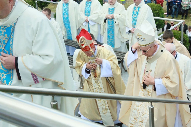 Uroczystości w Wąwolnicy