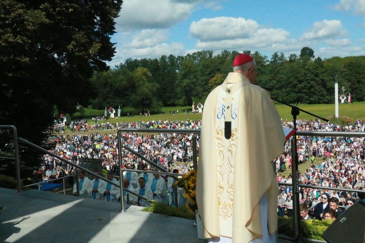 Uroczystości w Wąwolnicy