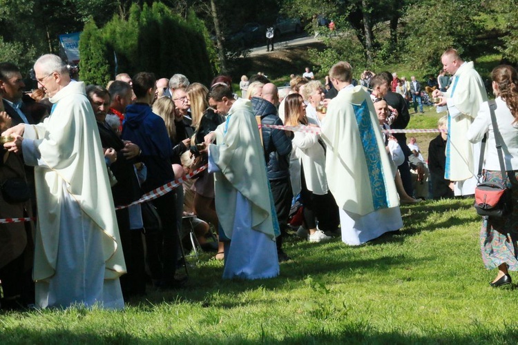 Uroczystości w Wąwolnicy