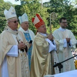 Uroczystości w Wąwolnicy