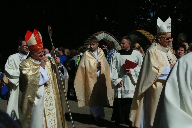 Uroczystości w Wąwolnicy