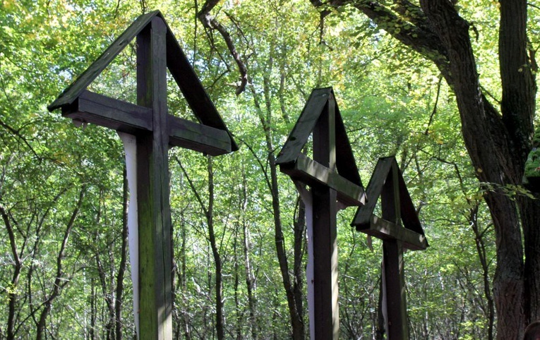 Ślubowana Msza na Magdalence  