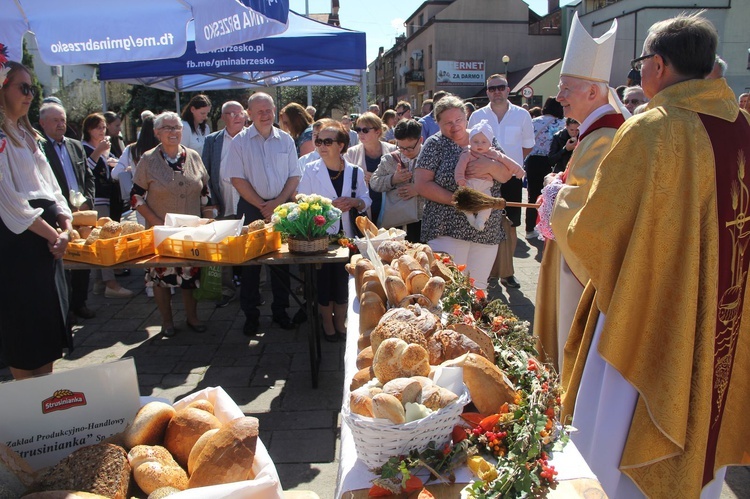 Brzesko. Diecezjalne Święto Chleba 2021