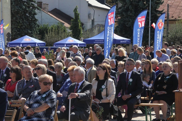 Brzesko. Diecezjalne Święto Chleba 2021