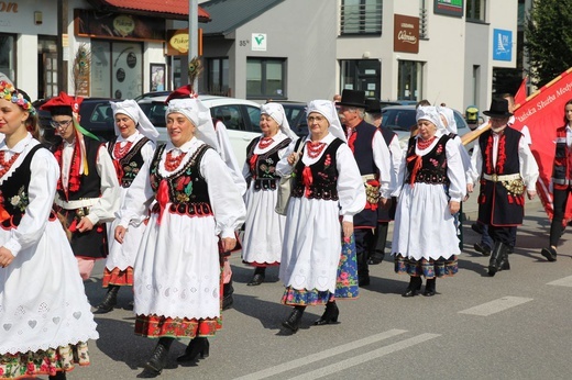 Świętowanie z maltańczykami na pikniku w Andrychowie - 2021