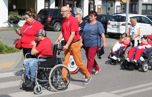 Świętowanie z maltańczykami na pikniku w Andrychowie - 2021